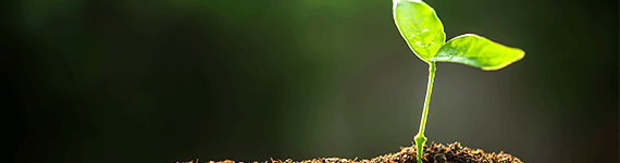 枕や寝具のOEM・製造など行う鹿児島の工場｜株式会社丸松のOEM